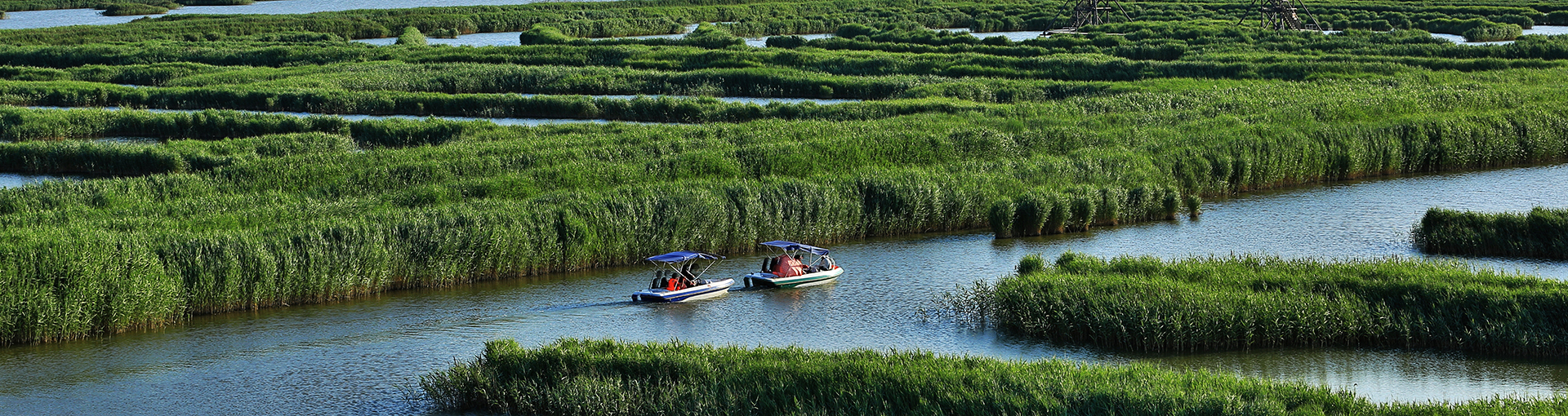 集團(tuán)概況